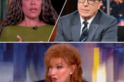 The View’s Sunny Hostin drops a wild claim about Stephen Colbert’s shock exit, hinting at a “dismantling of democracy” as the White House threatens to pull their show next! What’s behind this explosive drama?