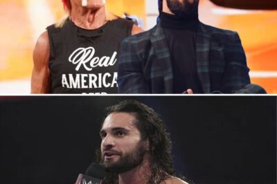 Seth Rollins: Hulk Hogan is “Not the kind of person I want to associate with”