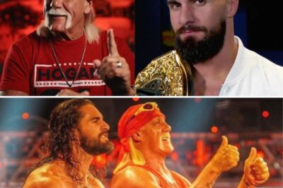 How Can Seth Rollins Still Hate Hulk Hogan After He Gave Him the Biggest Compliment? Here’s What Truly Happened