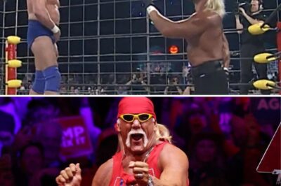 Did Hulk Hogan Really Beat Up a Fan After He Broke Into a WWE Cage Mid-Match? Here’s What Truly Happened