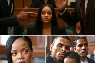 Courtroom Chaos: A$AP Rocky and Chris Brown’s Alleged Paternity Battle Over RZA Ignites Rihanna’s Emotional Outburst
