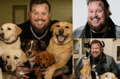 Forget Mansions and Cars—Jelly Roll Is Dropping $20 Million on Something That Will Melt Your Heart