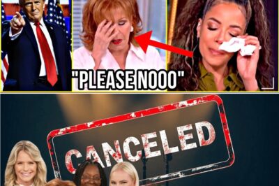 😱 SH0CKING: Is The View REALLY canceled? Joy Behar’s emotional breakdown as the show goes OFF AIR will leave you speechless! 💔 What caused this dramatic end for the iconic talk show? Uncover the stunning truth now. 👉