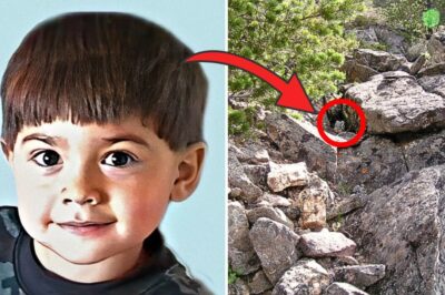 The Boy Who Vanished: A Hiking Trip Mystery and a Shocking 2025 Discovery