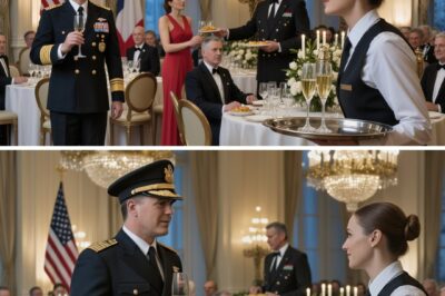 My Sister Mocked Me As A Waitress – Until I Said 3 Words in French to 4-Star General…