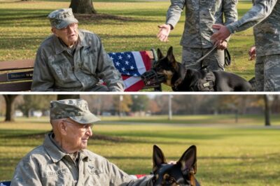 He was just an old man on a park bench, sipping his morning coffee, looking for all the world like someone’s gentle grandfather.
