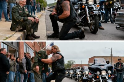 He perched on the frostbitten curb of the only town he’d ever truly known, a chest full of medals now invisible to the very parade that was supposed to remember him