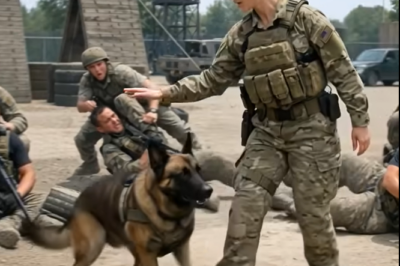 How a Scarred Handler Saved a Doomed Military Working Dog Named Reaper from Euthanasia and Restored His Trust Through Forgotten Commands
