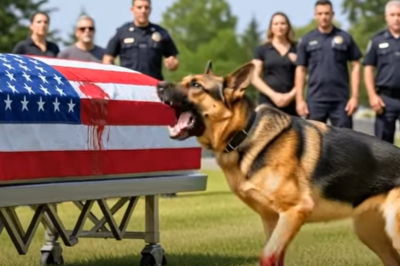 “Police Dog Races Against Time to Save an Officer Buried Alive — But What He Does Afterward Will Absolutely Break Your Heart”