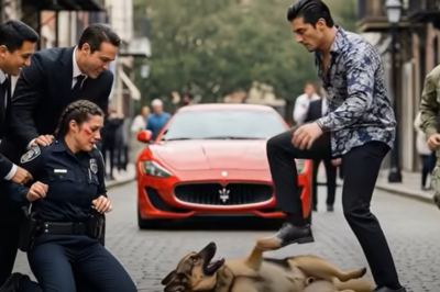 “Mafia Boss’s Son Thought He Was Untouchable When He Attacked an Officer and Her K9 — Until a Navy SEAL Stepped In, Turned the Tables in Seconds, and Changed Everything That Night.”