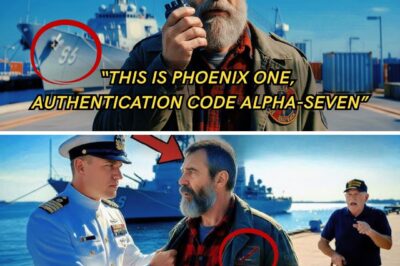 He Was Just a Homeless Veteran — Until the Destroyer Crew Heard “Phoenix One” on the Radio