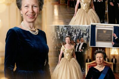 Shocking Elegance at the Royal German Banquet: Princess Anne’s Unforgettable Entrance Leaves Windsor in Awe