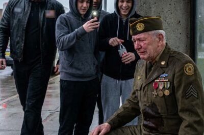 They Ridiculed a Veteran’s Medals for a TikTok Clip—Until a Silent Biker Arrived, and Everything Changed in an Instant