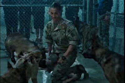 THEY THREW THE “NEW GIRL” INTO THE K9 PEN AS A JOKE—BUT THEY DIDN’T KNOW WHO SHE WAS