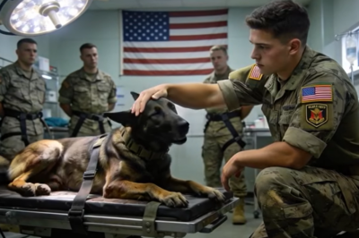 The Rookie SEAL’s Whisper Stopped a Bleeding K9 from Fighting to the Death