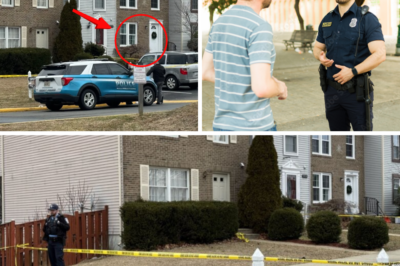 Horror in Woodbridge: Neighbors Heard Toddler’s Screams and Adult Shouts Before Deadly Silence at 5 a.m. — Mother Stabs 2-Year-Old Son, Husband, Mother-in-Law in Brutal Rampage