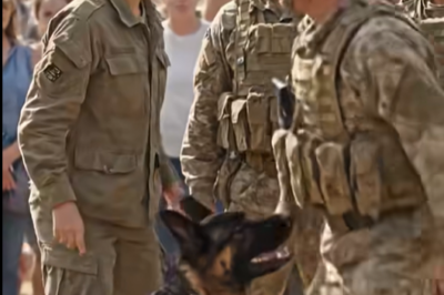 “Die Now—Your Dog Can’t Save You,” the Drunk Soldier Sneered… Until the K9 Locked In Like a Loaded Weapon