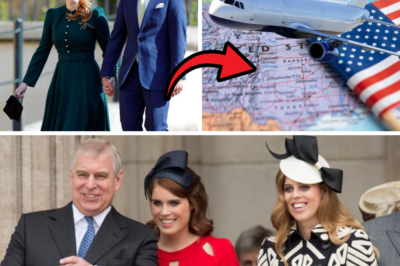 NEXT HARRY AND MEGHAN: Princess Beatrice Is Reportedly Considering a Move to the US Amid Father Andrew’s Scandal