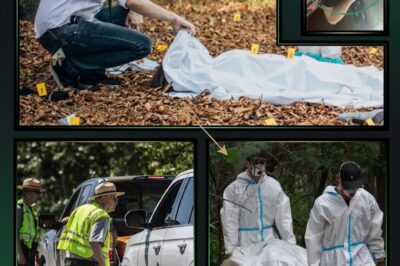 ‘I’M DONE’: Two Senior Rescuers Resign After Discovering ‘Human-Like’ Anomalies at Anthony Pollio Death Scene