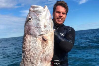 HE LEFT FOR A MORNING TRIP… AND NEVER CAME BACK 💔🦈 Steven Mattaboni’s family is receiving an outpouring of support tonight… while witnesses are still describing people staring out at the waterline trying to understand what had just happened