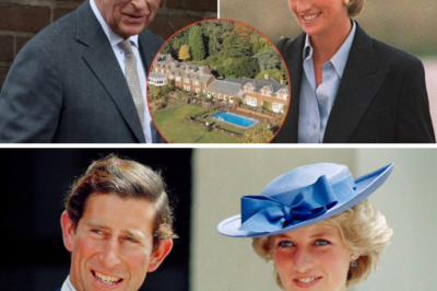 “That’s the Last Thing I Could Do for Her”: King Charles Urged to Rescue Princess Diana’s Crumbling Childhood Home as Heartbreaking Decay Sparks Fury