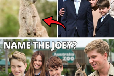 “A Secret Royal Cuddle Across Continents”: How Prince George, Princess Charlotte and Prince Louis Secretly Named Australia Zoo’s Newest Joey – And the Heartwarming Bond Behind It