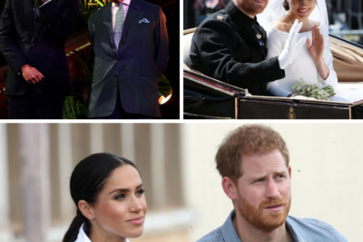 The Royal Family’s Silent Treatment on Harry and Meghan’s Eighth Anniversary: A Telling Absence
