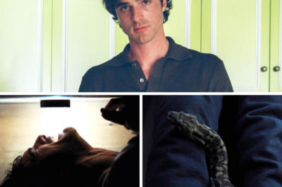 Euphoria Star Jacob Elordi Filmed That Frightening Scene with a Very Real, Very Cuddly Snake