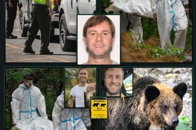 BEYOND THE BEAST: Veteran Rescuers Resign in Protest Following Pollio Recovery as ‘Human-Like’ Footprints Spark Cover-Up Allegations
