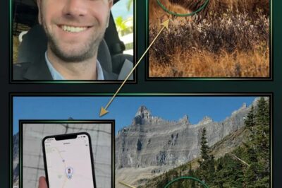 CHILLING FINAL SECONDS: Was Anthony Pollio Being Hunted? Leaked Audio Challenges Official ‘Bear Attack’ Narrative in Glacier National Park