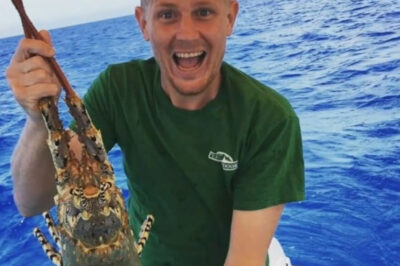 “HE WAS DOING SOMETHING HE LOVED… THEN EVERYTHING CHANGED IN SECONDS” 😳🦈  Michael Jensz has now been identified after the Far North Queensland shark tragedy shocked communities across Australia.  But the detail now staying with people is 1 moment in the water and questions around what happened in the final seconds before panic suddenly spread…