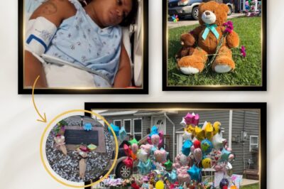 BEAUTY FROM ASHES: THE MIRACLE GARDEN AT THE SITE OF THE ELKINS MASSACRE AND THE INSCRIPTION TEARING UP THE INTERNET