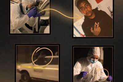 CHAOS ON THE CALDER: NEW EVIDENCE REVEALS DESPERATE STRUGGLE BEFORE FATAL UTE CRASH