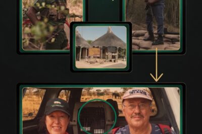 The Ambush at the Elephant Crossing: New Theory Explains Kruger National Park Murders