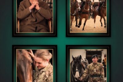 HORROR AT THE ROYAL SHOW: Fearless 24-Year-Old Soldier Dies in Front of King Charles After Catastrophic Fall from Horse