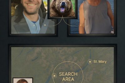 ‘HE LOOKED ANXIOUS’: Witnesses Describe Florida Hiker’s Final Minutes as Questions Mount Over Glacier Park ‘Surprise’ Attack