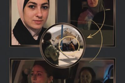 THE SEVEN-YEAR FILE: Australian Woman Arrested in Dramatic Airport Ambush as Counter-Terror Raids Uncover Syrian Network and Local Financial Pipelines