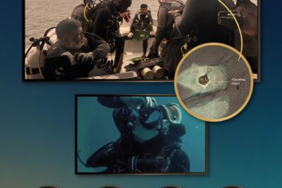 MURDER IN THE DEEP? Restored 4-Minute Phone Video Blows Maldives Cave Disaster Wide Open as Authorities Launch ‘Foul Play’ Investigation