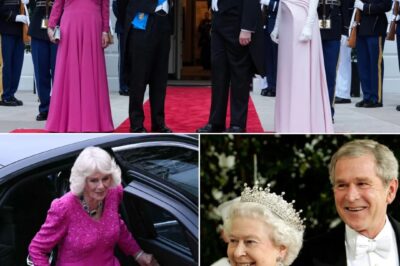 “NO TIARA TONIGHT…” — Queen Camilla’s Unexpected Choice Is Turning Heads
