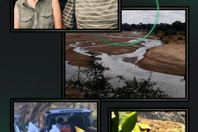 THE HIDDEN SIGNAL: How a Chassis-Mounted Tracker Exposed the Crooks Corner Syndicate