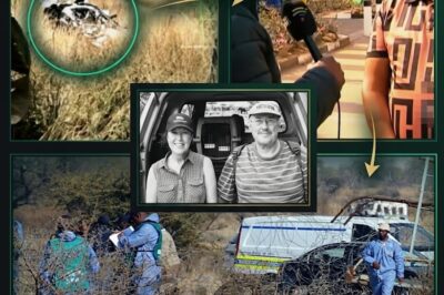THE VETERAN’S VIGILANCE: Ernst Marais and the Silent Justice of a Forgotten Tracker