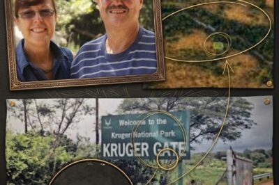 THE MISSING HOURS: Dashcam Footage Exposes the “Ghost Route” of the Kruger Victims