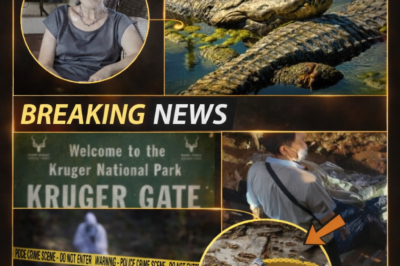 THE DIGITAL WITNESS: Recovered Apple Watch Holds the Key to the Kruger Horror