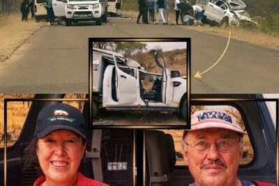 THE FINAL MILE: What the Black Box Data Reveals About the Marais Tragedy