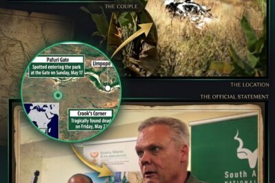 THE SYNDICATE PURGE: How the Marais Tragedy Exposed a Shadow Network