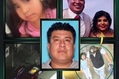 Into the Void: The San Ysidro Border Mystery and the Global Hunt for Daleyza Fregoso