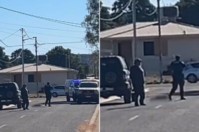 WHY DID THEY SHOOT THE DOG?’” 😳🐕 Queensland Police are facing tough questions after officers made a controversial decision following a collision involving a patrol vehicle. But the detail now dividing people is what happened in the minutes afterwards — because witnesses say the dog was still alive, and one decision at the roadside has now sparked an emotional backlash across social media… 👇💔🔥