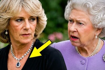 🚨 PRINCE WILLIAM WAS LEFT STUNNED BY A DISCOVERY INVOLVING ONE OF DIANA’S MOST TREASURED ITEMS — AND THE AFTERMATH SHOOK PALACE INSIDERS 😳👑