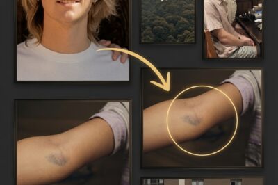 THE PURPLE BRUISE: Shocking Marking Found on Body of Weston Higginbotham Triggers Intense Forensics Dispute in Japan